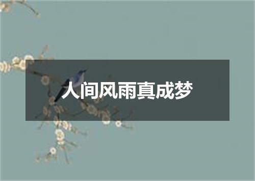 人间风雨真成梦