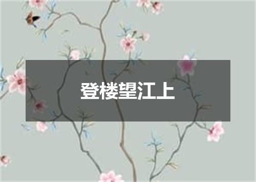 登楼望江上