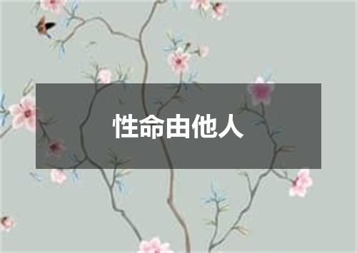 性命由他人