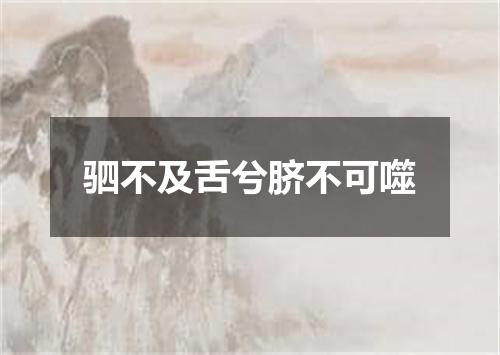 驷不及舌兮脐不可噬