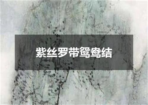 紫丝罗带鸳鸯结