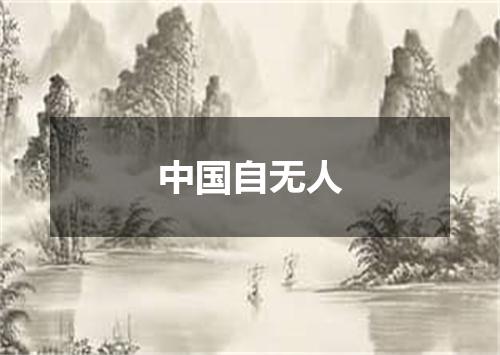 中国自无人