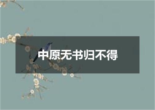 中原无书归不得