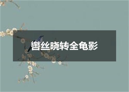 辔丝晓转全龟影