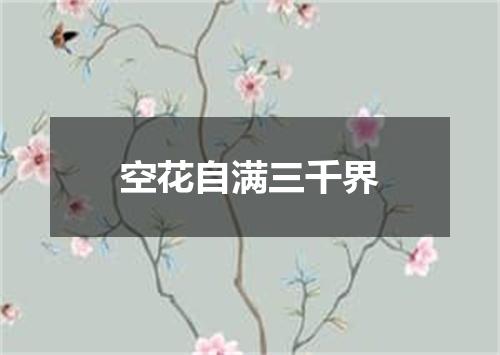 空花自满三千界