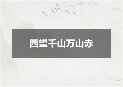 西望千山万山赤