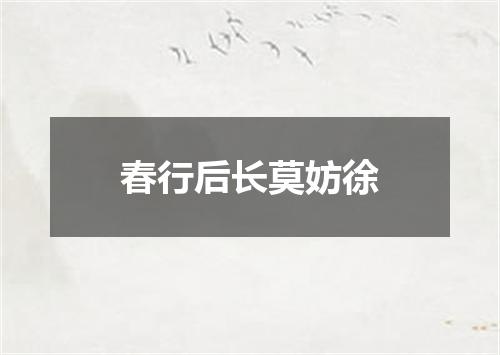 春行后长莫妨徐