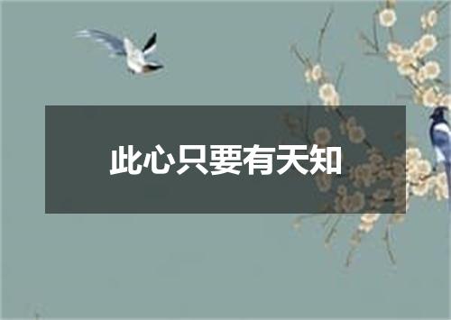 此心只要有天知
