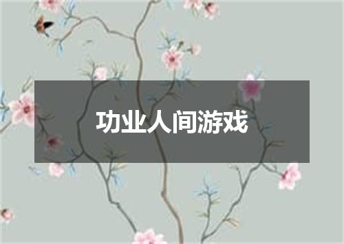 功业人间游戏