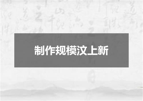制作规模汶上新