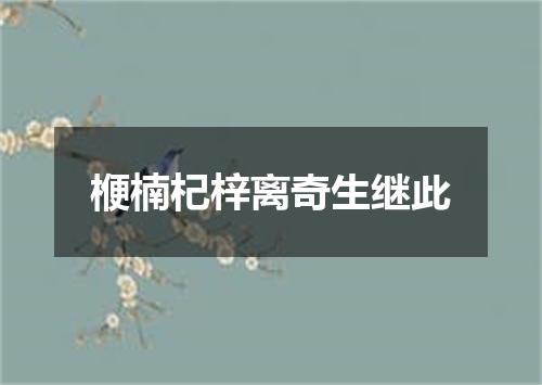 楩楠杞梓离奇生继此