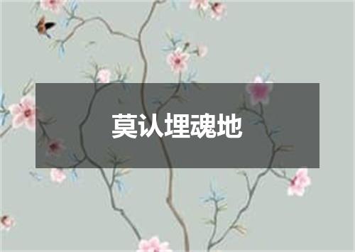 莫认埋魂地