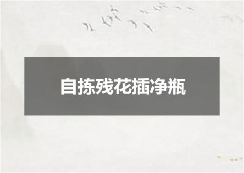自拣残花插净瓶