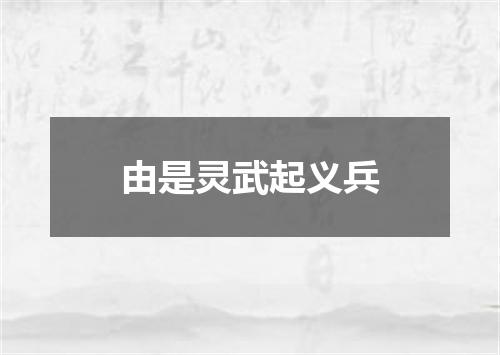 由是灵武起义兵