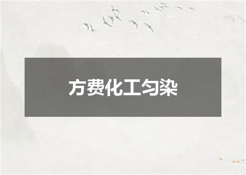 方费化工匀染