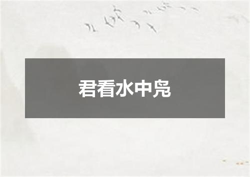 君看水中凫
