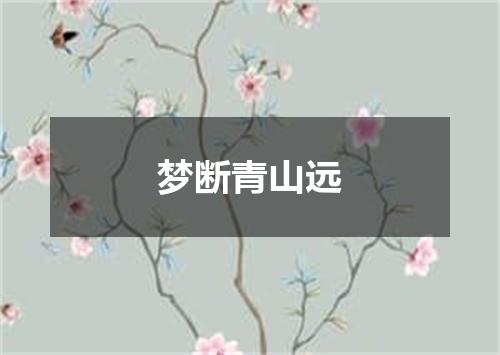 梦断青山远