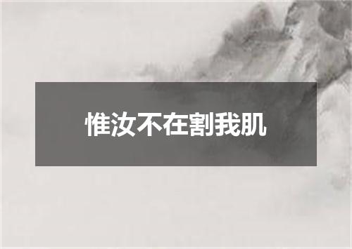 惟汝不在割我肌