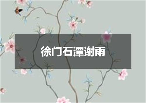 徐门石潭谢雨
