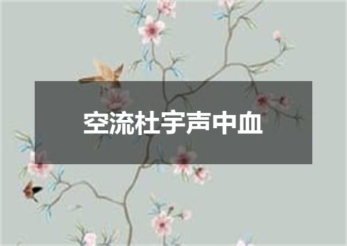 空流杜宇声中血
