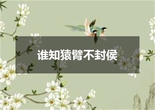 谁知猿臂不封侯