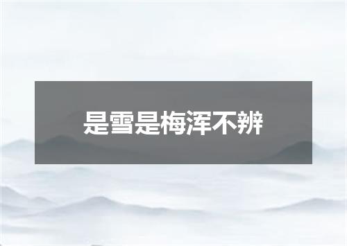 是雪是梅浑不辨