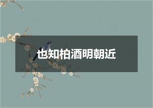 也知柏酒明朝近