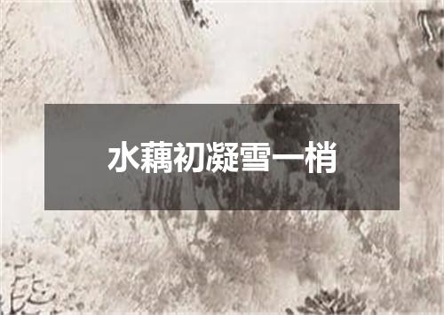 水藕初凝雪一梢