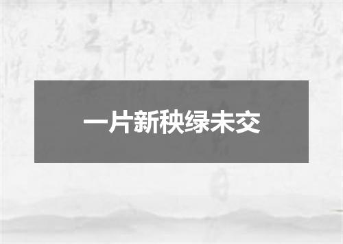 一片新秧绿未交