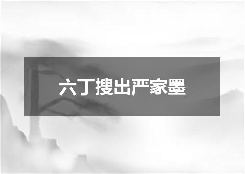 六丁搜出严家墨