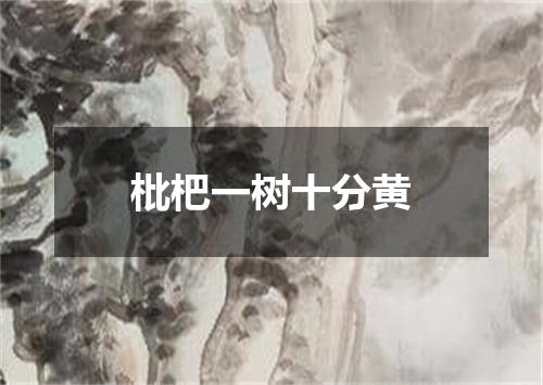 枇杷一树十分黄