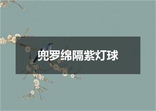 兜罗绵隔紫灯球