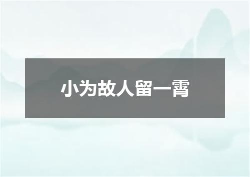 小为故人留一霄