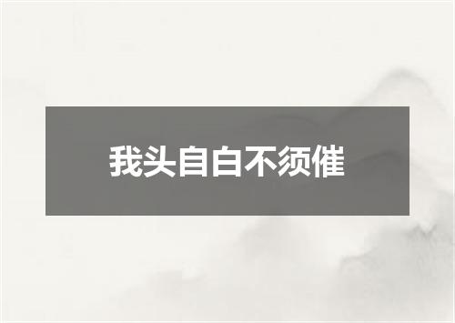 我头自白不须催