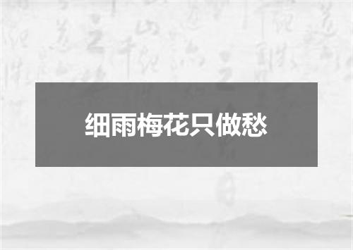 细雨梅花只做愁