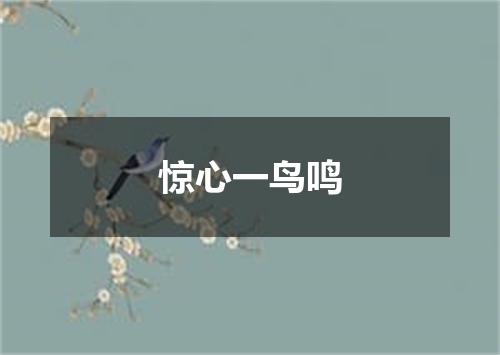 惊心一鸟鸣
