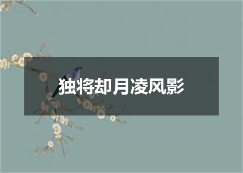 独将却月凌风影
