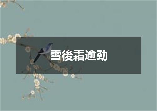 雪後霜逾劲