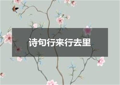 诗句行来行去里