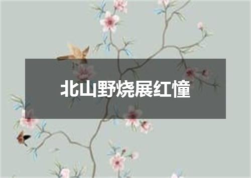 北山野烧展红憧