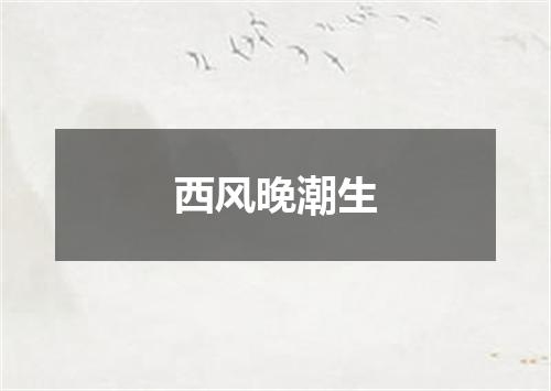 西风晚潮生