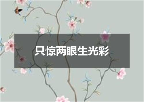 只惊两眼生光彩