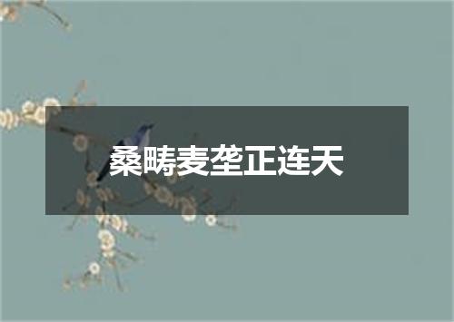 桑畴麦垄正连天