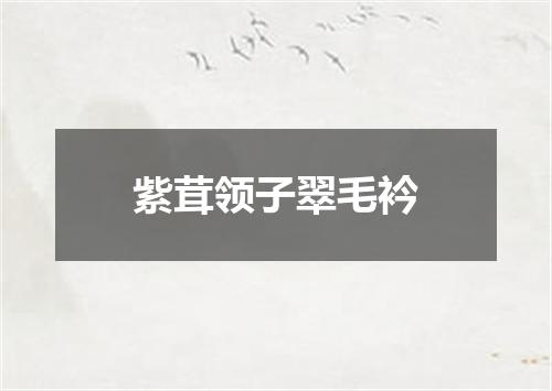 紫茸领子翠毛衿