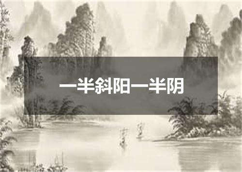 一半斜阳一半阴