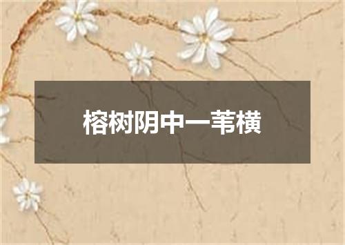 榕树阴中一苇横