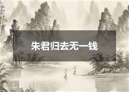 朱君归去无一钱