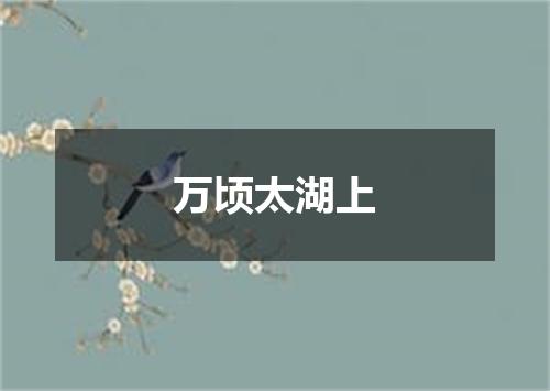 万顷太湖上