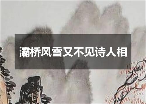 灞桥风雪又不见诗人相