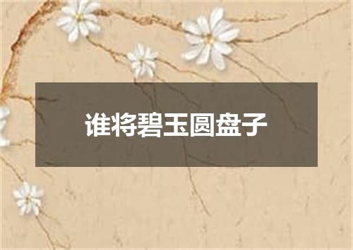 谁将碧玉圆盘子